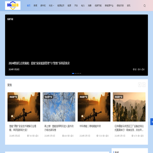 国际新能源网